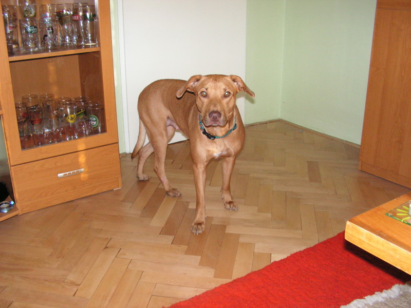 pict0360