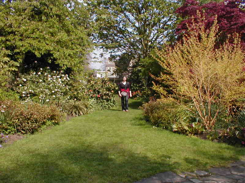 Zahrada v Hampton Court na hezko