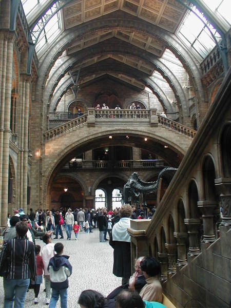 Prirodovedecke muzeum s brontousaurem uprostred